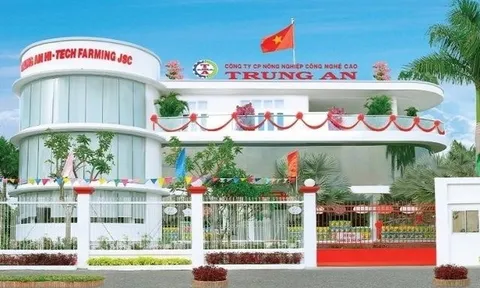 Trung An (TAR) báo lãi gấp 2,5 lần, dòng tiền kinh doanh âm 615 tỷ đồng trong 6 tháng đầu năm