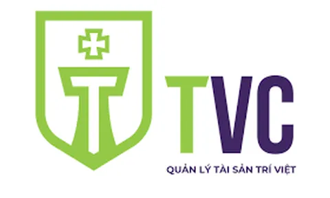 Quý 2, TVC lỗ ròng hơn 237 tỷ đồng do trích lập dự phòng HPG gần 300 tỷ