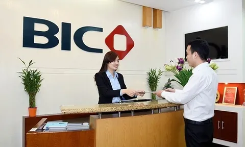 Vì đâu lãi ròng quý 2 của Bảo hiểm BIDV giảm hơn phân nửa?