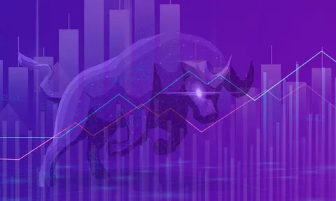 04/08: Đọc gì trước giờ giao dịch chứng khoán?