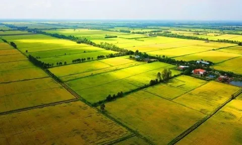 Chủ động quỹ đất điều tiết thị trường