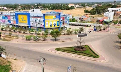 Gói thầu hơn 190 tỷ đồng tại Bình Định: Đơn giá thấp bất thường, do đâu?