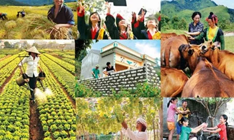 Triển khai quyết liệt, hiệu quả các chương trình mục tiêu quốc gia, đẩy nhanh tiến độ giải ngân vốn