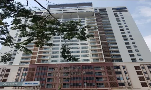 Dự án Ascent Lakeside xây dựng trái phép 2.200m2, khách hàng 'ôm bom nổ chậm'