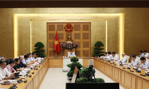 Tập trung xây dựng Nghị định về kết nối, chia sẻ thông tin về xuất nhập khẩu