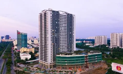 Bóng dáng QCGL, HAGL trong vụ sai phạm Tân Thuận chuyển nhượng hơn 3ha đất