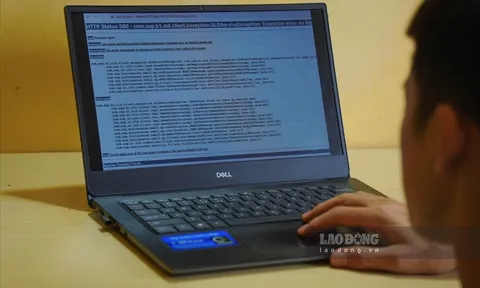 Khổ sở đi kiện sau khi mua phần mềm trên 800 triệu đồng của Công ty CMC