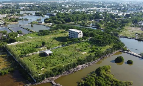 Vũng Tàu xử lý vi phạm của Công ty Thanh Xuân và Công ty Hoàng Gia