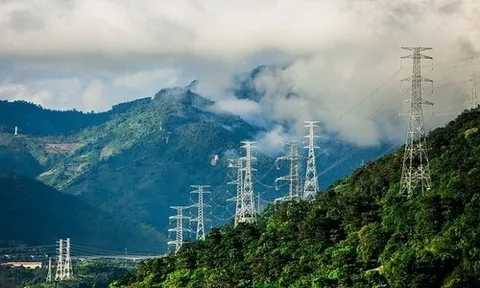 1.200 tỷ đồng trái phiếu đổ về Tập đoàn PC1 sau 4 tháng