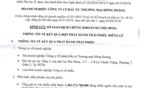 Vốn điều lệ 5 tỷ nhưng phát hành trái phiếu nghìn tỷ đồng, Hồng Hoàng là ai?