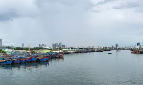 Gói thầu Nạo vét âu thuyền Thọ Quang (Đà Nẵng): Đổi phương án thi công, nhà thầu lo chậm tiến độ