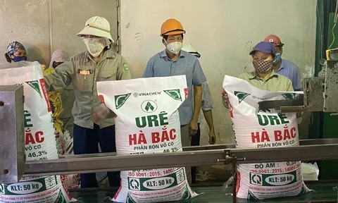 Đạm Hà Bắc hoạt động từ lãi sang lỗ, "nợ chồng nợ" 6.400 tỷ đồng