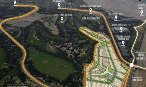 Homeliday Group - đại gia "kín tiếng" chi hàng trăm tỷ đồng để trả nợ cho FLC