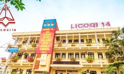 Licogi 14 giảm lỗ khủng 218 tỷ đồng sau soát xét nhờ đâu?