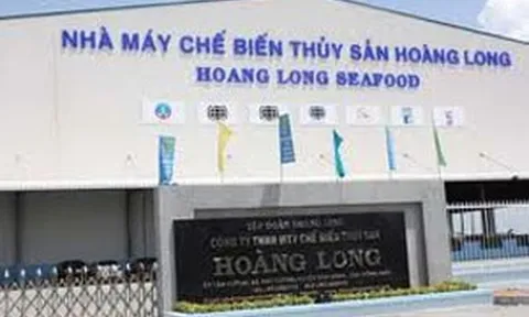 Loạt nhập nhằng với đơn vị khác, kiểm toán từ chối cho ý kiến với BCTC soát xét của Tập đoàn Hoàng Long