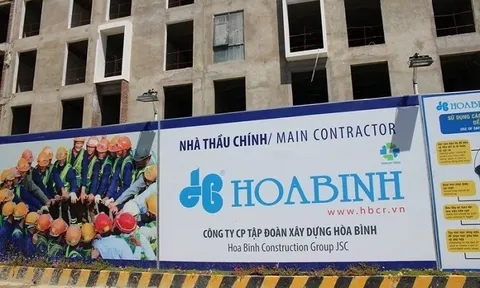 Tập đoàn Xây dựng Hòa Bình có 2 chủ tịch?