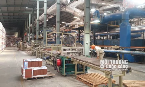 Đông Triều (Quảng Ninh): Công ty Cổ phần Gốm Đất Việt hoạt động khi chưa được phê duyệt lại Báo cáo đánh giá tác động môi trường (ĐTM)