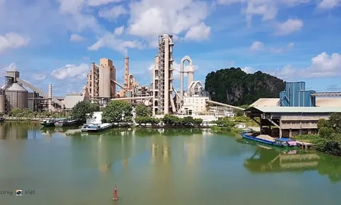 Vợ thành viên HĐQT HT1 muốn bán sạch cổ phiếu