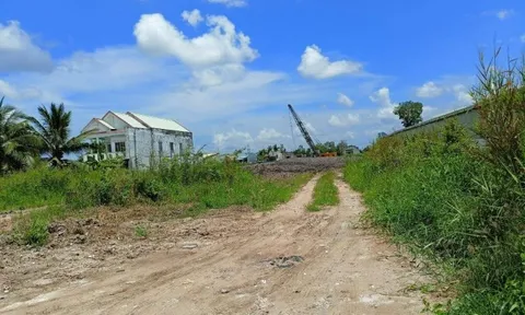 TP Cà Mau xử lý thế nào gần 600m3 đất không đủ giấy tờ vừa tịch thu?