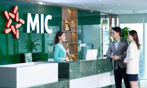 Bức tranh kinh doanh u ám của doanh nghiệp bảo hiểm: Lợi nhuận tại MIG giảm sâu nhất, BLI lỗ nặng