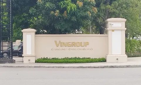 Tập đoàn Vingroup của tỷ phú Phạm Nhật Vượng nợ cực "khủng", bị xử lý vi phạm về thuế hàng chục tỷ đồng