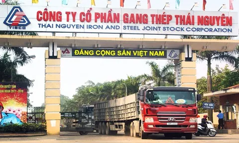 Kiểm toán "đặt dấu hỏi" về khả năng hoạt động liên tục của Gang thép Thái Nguyên