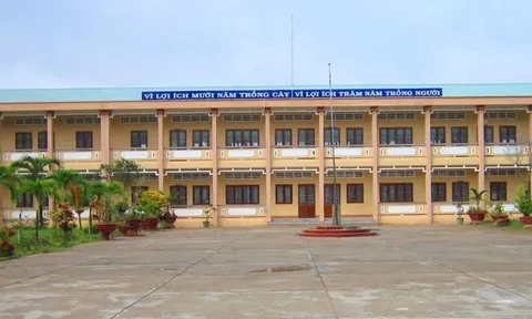 Gói thầu xây lắp tại huyện Hồng Ngự (Đồng Tháp): 3 nhà thầu gian lận ra sao?