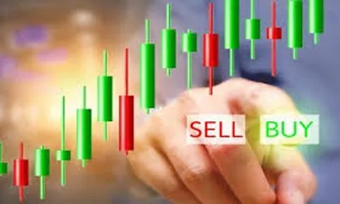 Nhịp đập Thị trường 23/08: Nổi bật so với chứng khoán thế giới