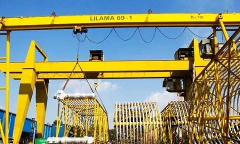 Lilama 69-1 (L61): Đến lượt Phó chủ tịch muốn thoái toàn bộ hơn 15% vốn