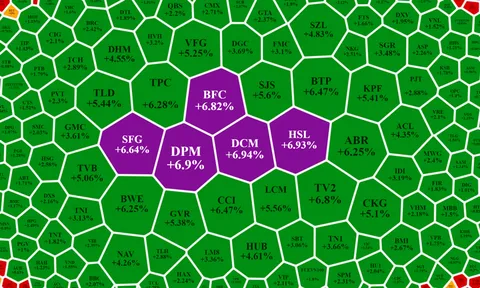 Cổ phiếu phân bón tím ngắt, VN-Index sắp chạm 1300
