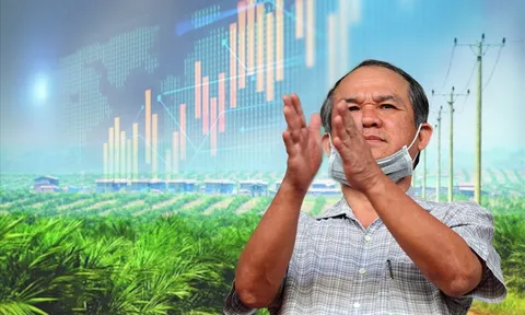 HAG và HNG thỏa thuận tách bạch nghĩa vụ nợ ngân hàng