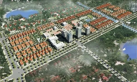 Tập đoàn C.E.O liên tục vi phạm về thuế vẫn được đề nghị tặng thưởng