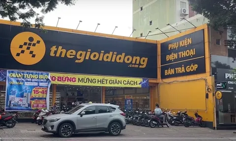 Thấy gì từ khối nợ và độ rủi ro của Thế Giới Di Động?