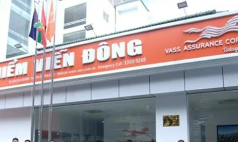 Chậm nộp tiền bảo hiểm cho người lao động, Bảo hiểm Viễn Đông của shark Liên bị phạt