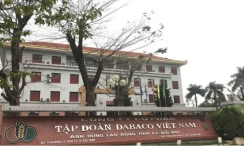 Đại gia chăn nuôi báo lỗ lần đầu sau 5 năm