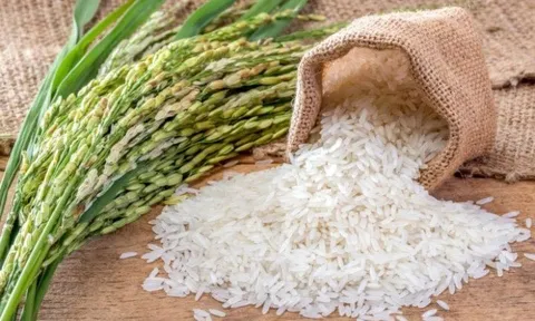 Reuters: Bangladesh sắp nhập khẩu hơn 200 ngàn tấn gạo từ Việt Nam