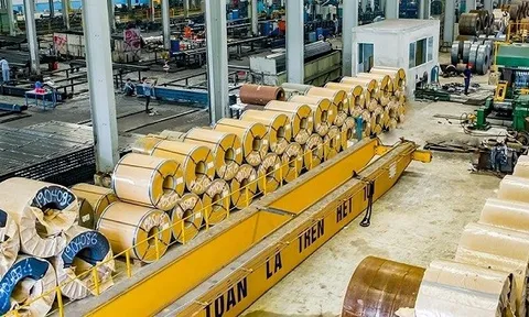 Nhóm doanh nghiệp cùng chủ sở hữu bị Agribank rao bán nợ khủng