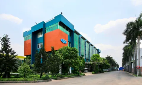 Gỗ Trường Thành nói về lãi ròng điều chỉnh giảm 89% sau soát xét