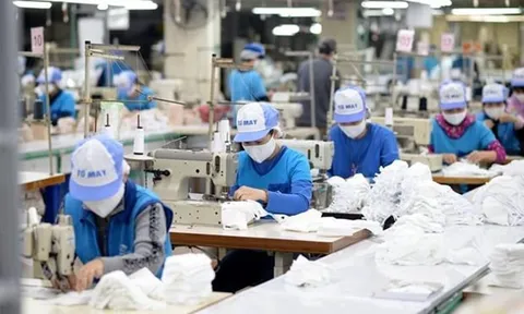 Các trụ cột trong phát triển thị trường lao động giai đoạn mới