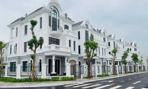 Hé mở về Công ty CP đầu tư địa ốc Trống Đồng