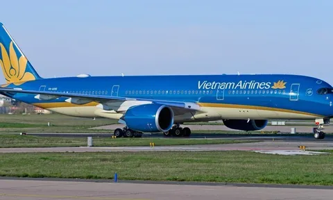 Kiểm toán nghi ngờ khả năng hoạt động của Vietnam Airlines