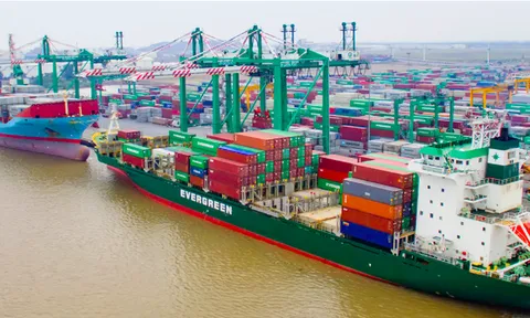 Những đáng ngại khi Viconship (VSC) phát hành riêng lẻ 40 triệu cổ phiếu