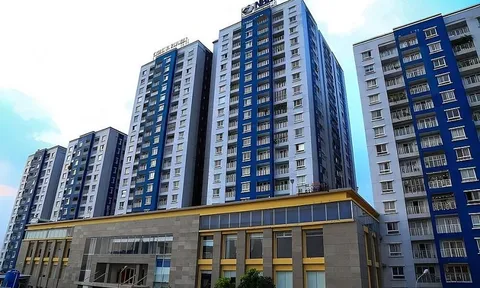 Một công ty bất động sản 'bốc hơi' hơn 99% lợi nhuận