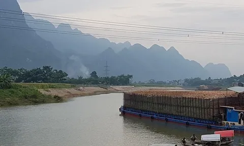 Bất thường cấu trúc nguồn vốn của nhà buôn dăm gỗ Nam Phương vừa bị công an điều tra về thuế