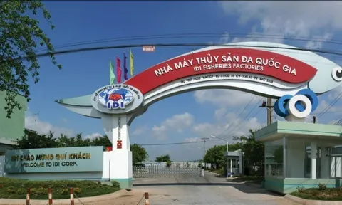 Đầu tư và Phát triển Đa Quốc gia (IDI) lợi nhuận giảm 4,5 lần, chi 341 tỷ đồng thanh toán cổ tức 2021