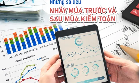 Lợi nhuận nhiều doanh nghiệp 'bốc hơi' sau mùa kiểm toán