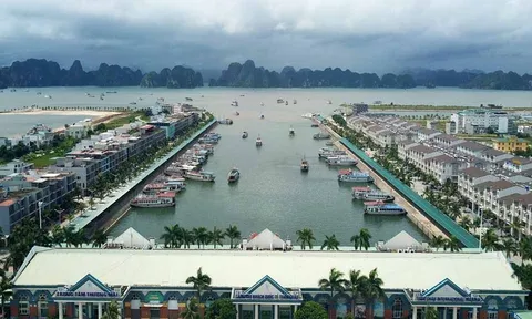 Những dự án nào của Tập đoàn Tuần Châu sắp được thanh tra?