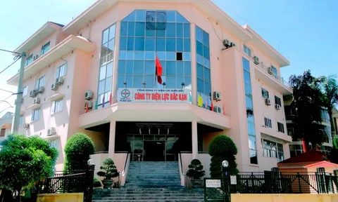 Công ty Điện lực Bắc Kạn bị cáo buộc ban hành tiêu chí "làm khó" nhà thầu?