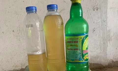 Xử phạt Công ty Cổ phần Trí Cao ghi nhãn Bia Cao Bằng không đúng, không đủ