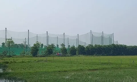 Nghệ An: Xin dự án nuôi cá rô phi Isreal công nghệ cao để làm sân tập golf